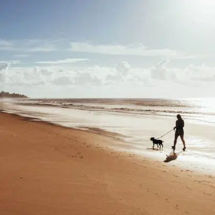 Woman walking with dog on beach at sunrise