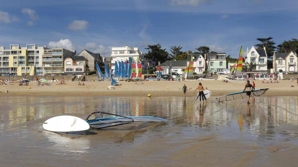 ajoncs dor plage la baule