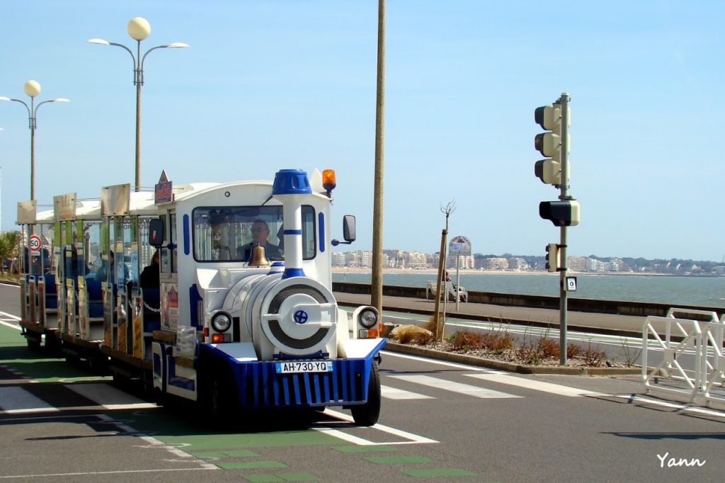 ajoncs dor plage train