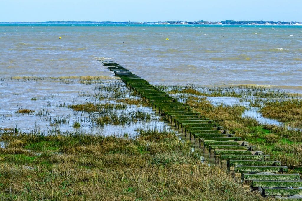 oleron loisirs alentours marais