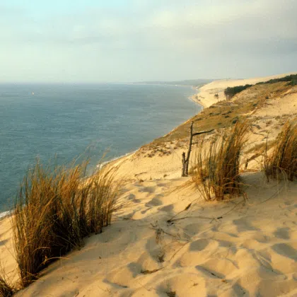 oreedubois plages